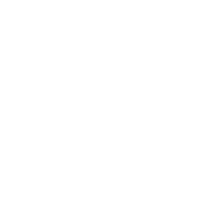 swiss risk care